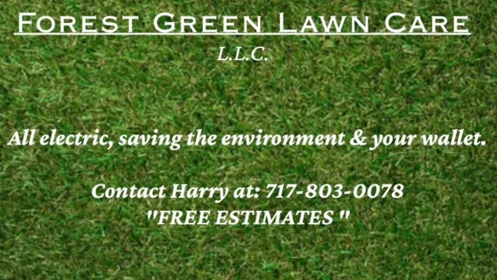 Custom yard cleanup service in Columbia, PA by Forest Green Lawn Care