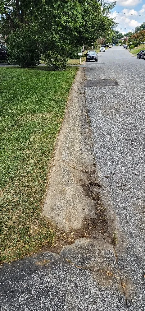 Trusted lawn mowing service for homes in Columbia, PA by Forest Green Lawn Care