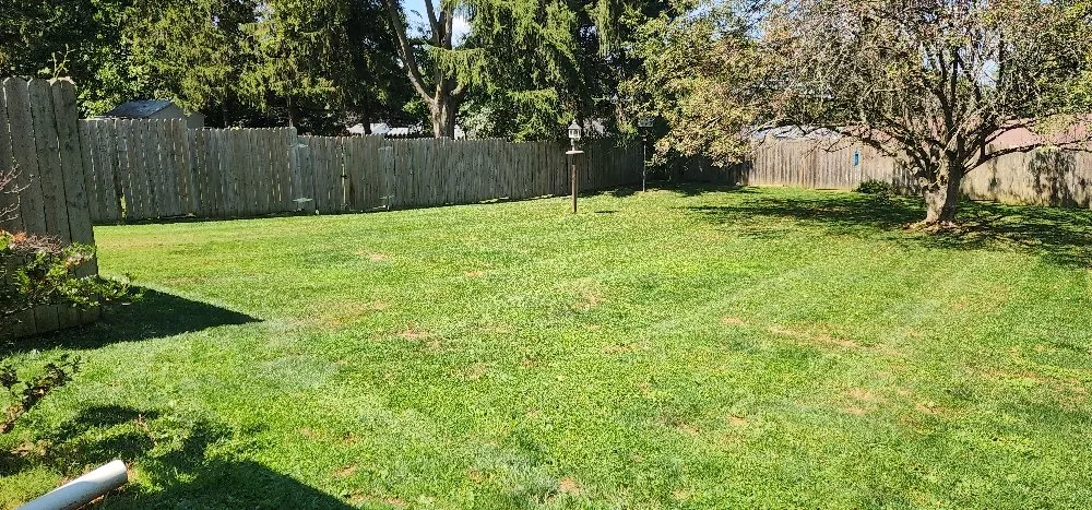 Trusted landscape installation for year-round maintenance in Columbia, PA by Forest Green Lawn Care