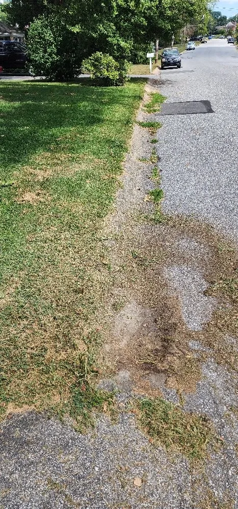 Expert landscape design in Columbia, PA by Forest Green Lawn Care