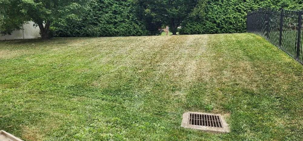 Top-rated lawn care service experts serving Columbia, PA - Forest Green Lawn Care