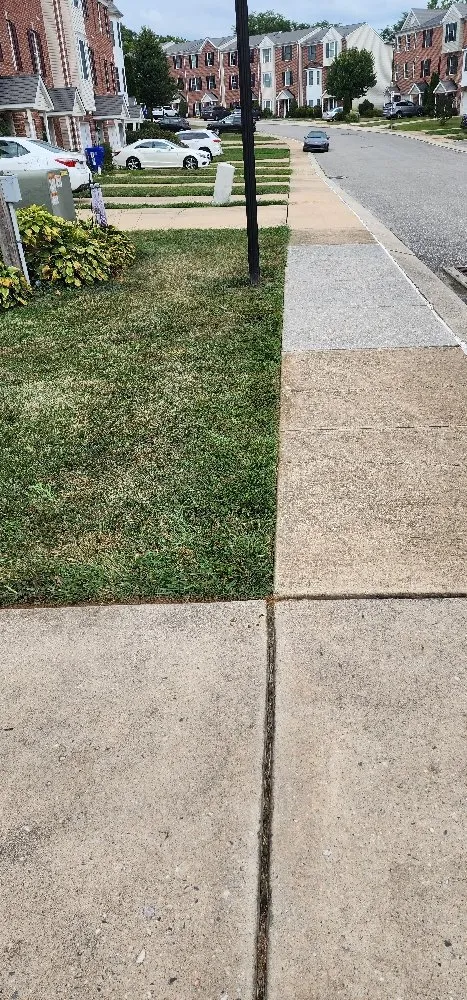 Professional yard maintenance in Columbia, PA - Forest Green Lawn Care