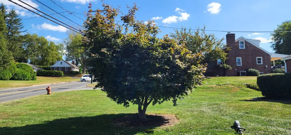 Professional landscape installation in Columbia, PA - Forest Green Lawn Care