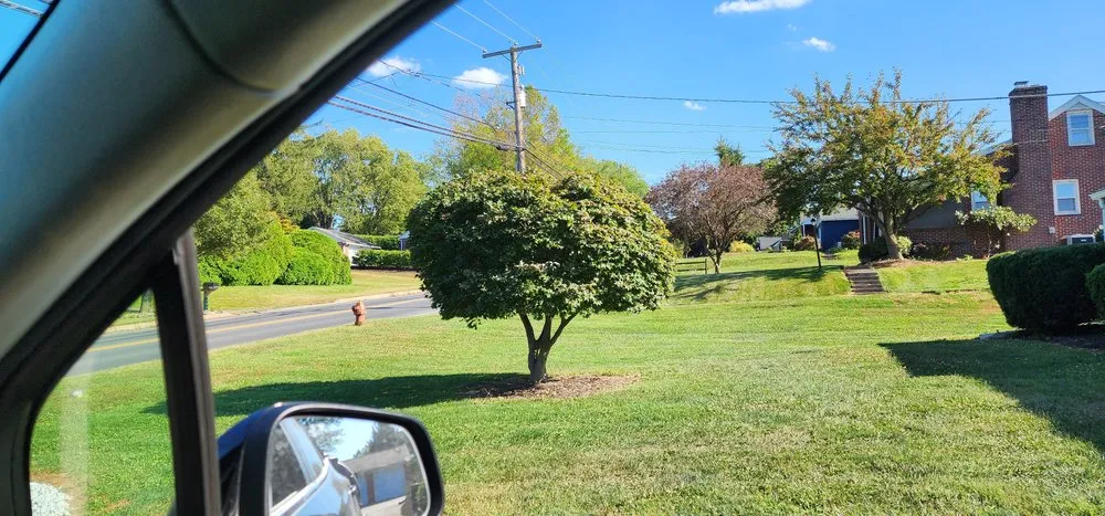 Reliable landscaping services in Columbia, PA - Forest Green Lawn Care