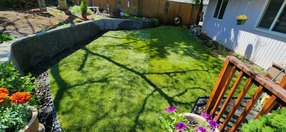 Affordable lawn mowing service near you in Forest Grove, OR by Forest Green Lawn Service