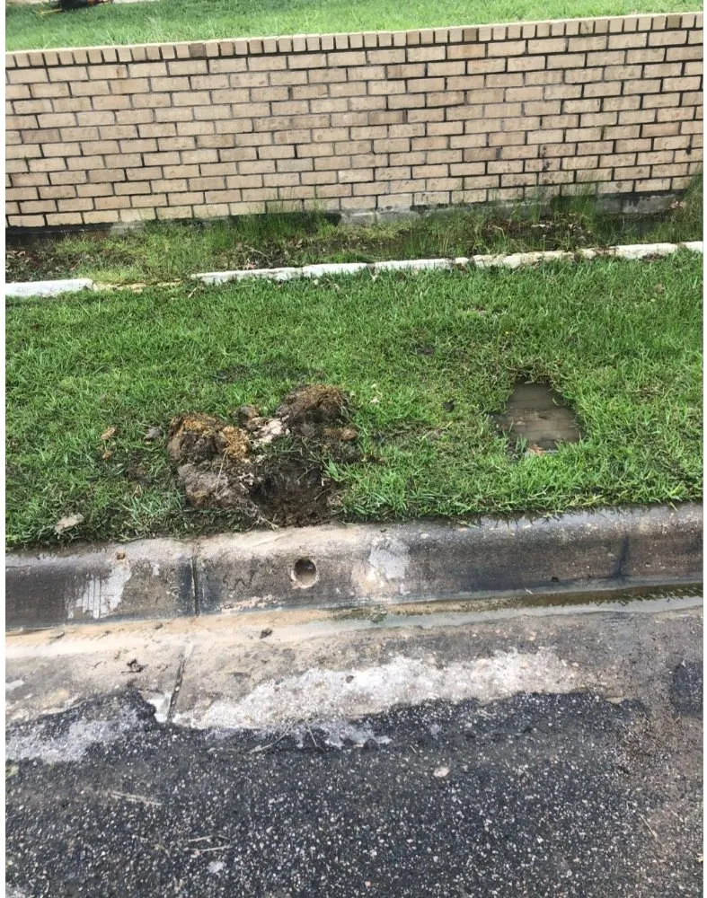 Top-rated yard maintenance in Edgecliff Village, TX by Forest Irrigation & Landscaping