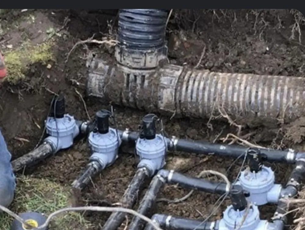 Affordable yard cleanup service in Edgecliff Village, TX by Forest Irrigation & Landscaping