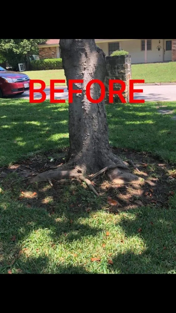 Reliable lawn mowing service in Edgecliff Village, TX by Forest Irrigation & Landscaping