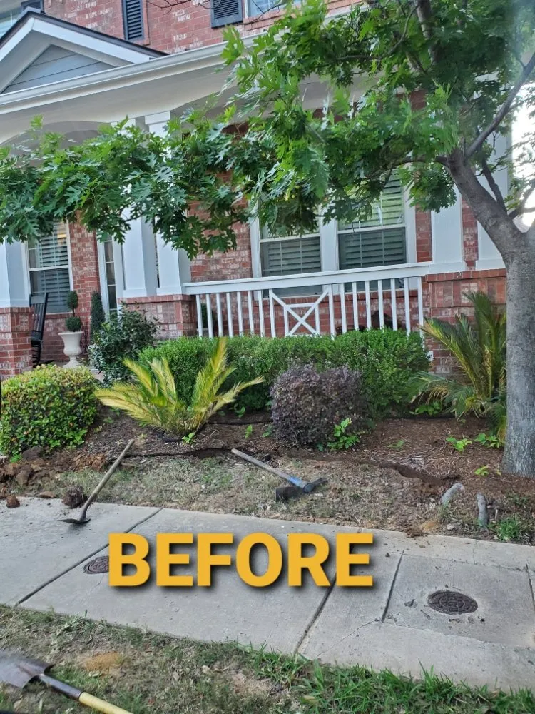 Top-rated yard maintenance experts serving Edgecliff Village, TX - Forest Irrigation & Landscaping