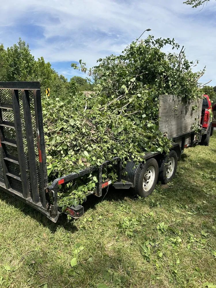 Local outdoor landscaping for beautiful yards in Kansas City, MO by Forest Junk Removal