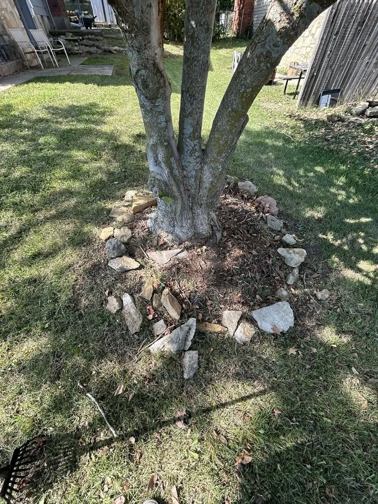 Local yard maintenance in Kansas City, MO - Forest Junk Removal