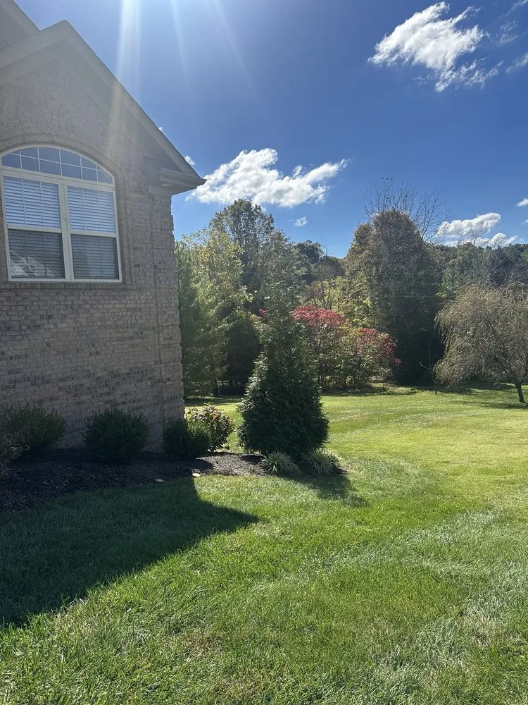 Trusted residential landscaping for residential properties across Louisville, KY - Forest Landscape