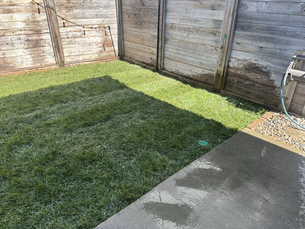 Top-rated garden landscaping experts serving Louisville, KY - Forest Landscape