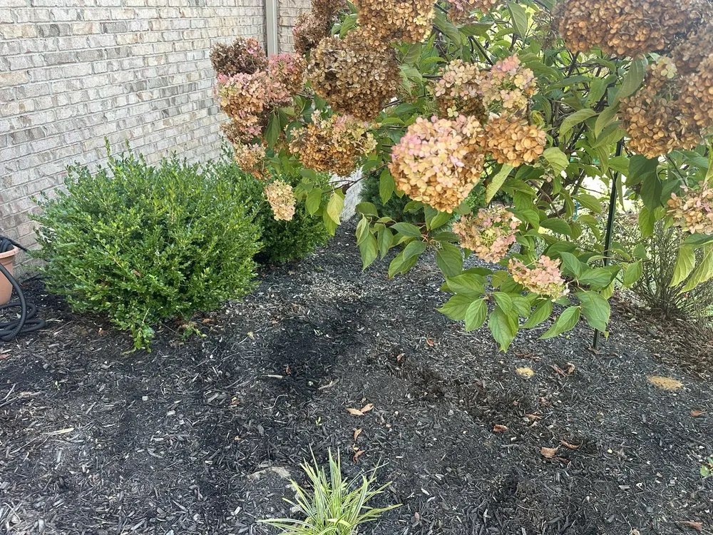 Trusted lawn mowing service experts serving Louisville, KY - Forest Landscape