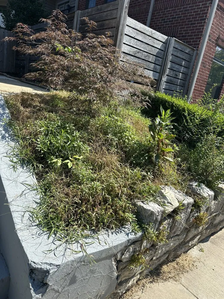 Reliable landscaping services in Louisville, KY by Forest Landscape