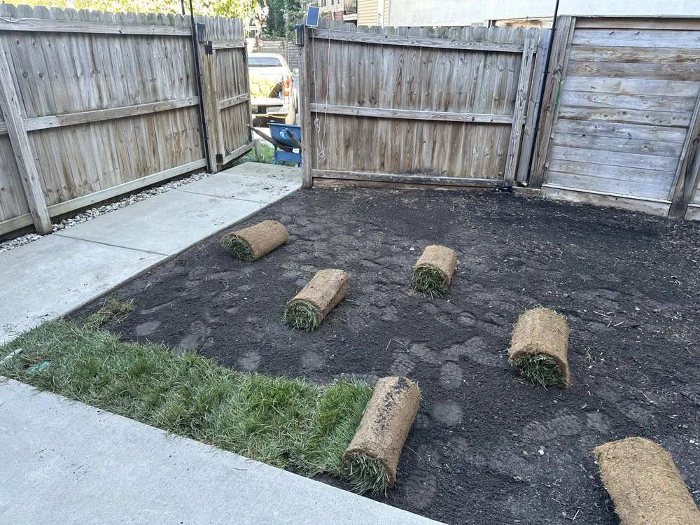 Local garden landscaping in Louisville, KY - Forest Landscape