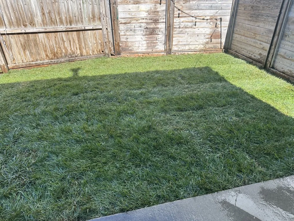 Reliable garden landscaping for residential properties across Louisville, KY - Forest Landscape