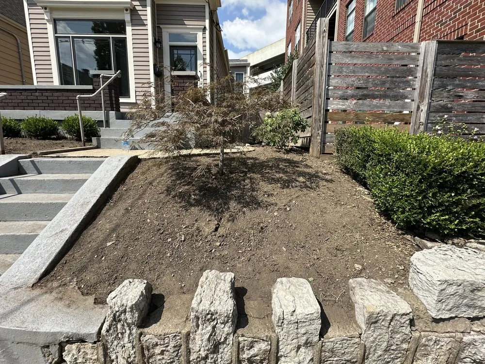 Trusted yard maintenance in Louisville, KY by Forest Landscape