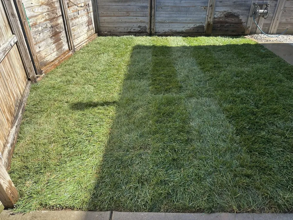 Expert lawn mowing service with custom design in Louisville, KY by Forest Landscape