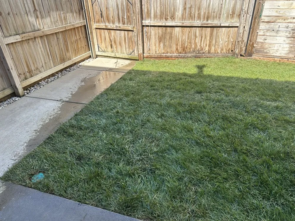 Trusted landscape installation in Louisville, KY - Forest Landscape