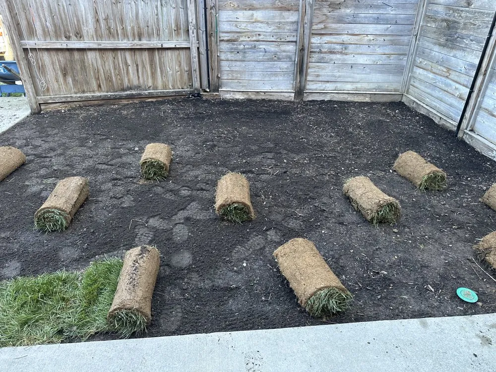 Reliable residential landscaping in Louisville, KY - Forest Landscape