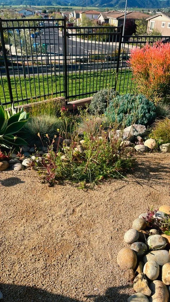 Local yard maintenance for beautiful yards in San Luis Obispo, CA by Forest Landscaping