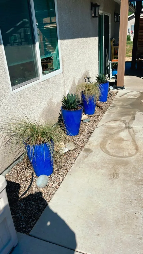 Local lawn care service experts serving San Luis Obispo, CA - Forest Landscaping