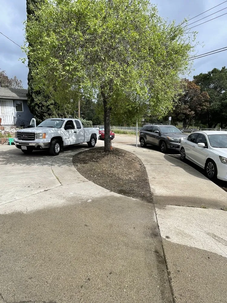 Reliable outdoor landscaping in San Luis Obispo, CA - Forest Landscaping