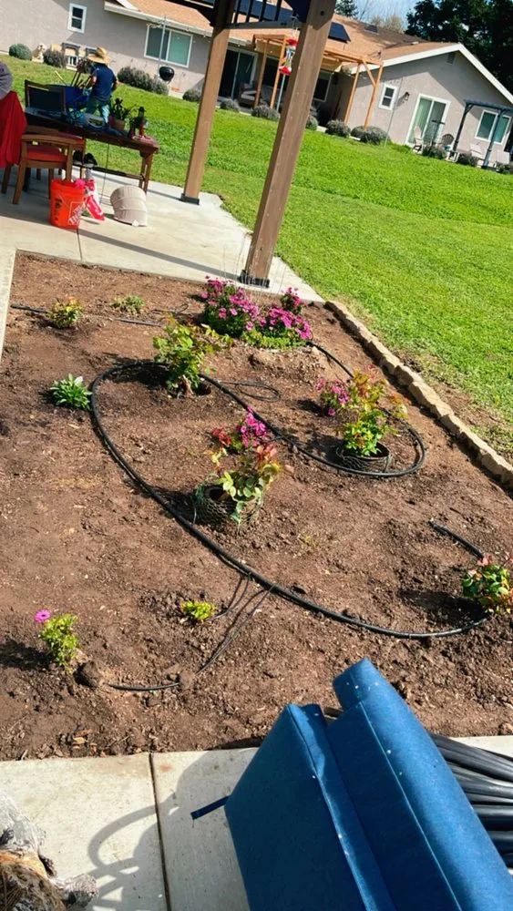 Reliable yard cleanup service in San Luis Obispo, CA - Forest Landscaping