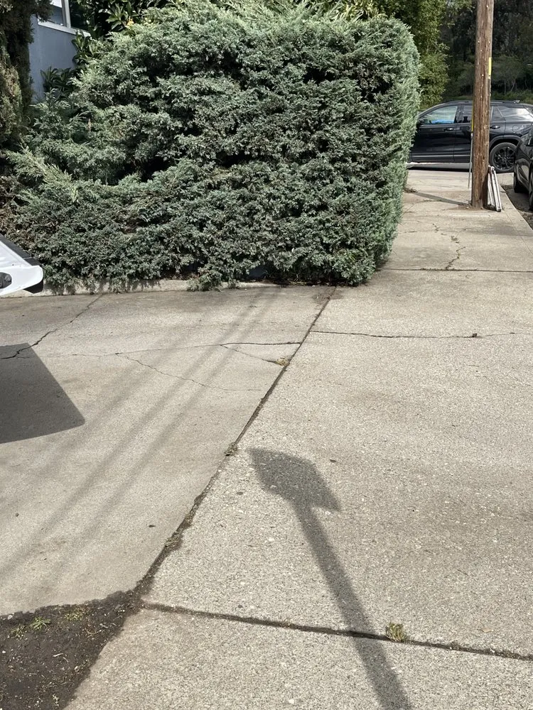 Professional lawn care service in San Luis Obispo, CA by Forest Landscaping