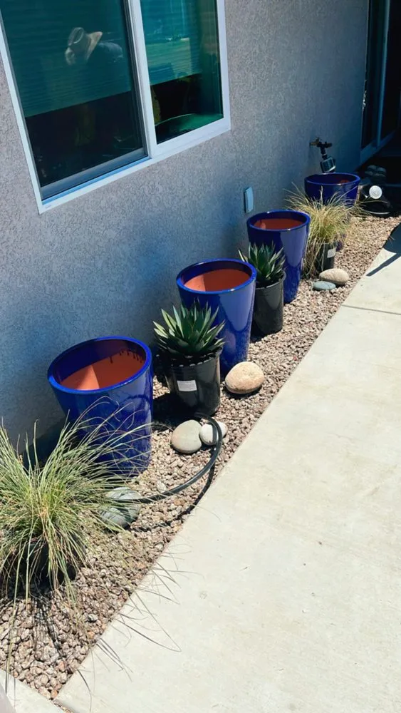 Trusted landscape design with custom design across San Luis Obispo, CA - Forest Landscaping