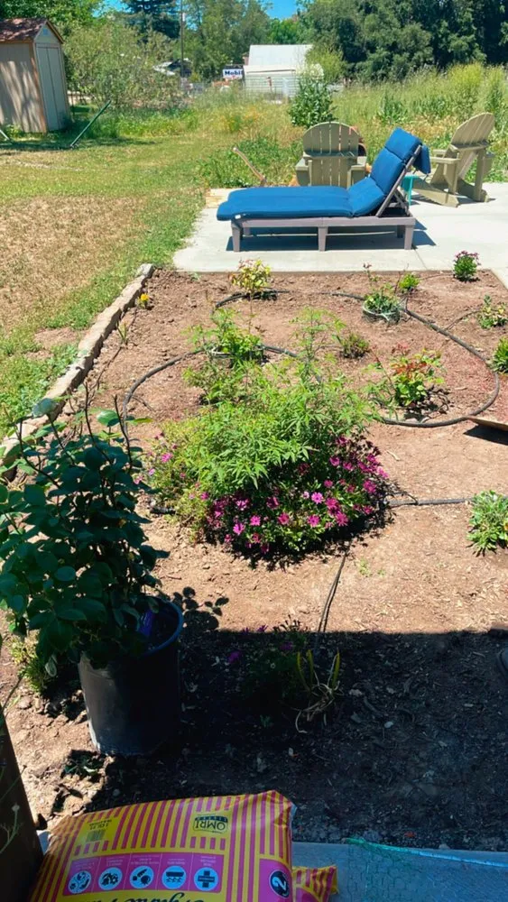 Custom landscape design in San Luis Obispo, CA - Forest Landscaping