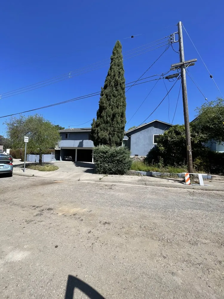 Professional yard cleanup service in San Luis Obispo, CA - Forest Landscaping