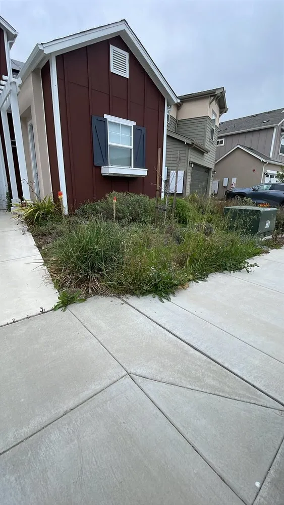Custom outdoor landscaping experts serving San Luis Obispo, CA - Forest Landscaping