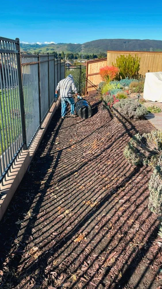Trusted landscape installation with custom design in San Luis Obispo, CA by Forest Landscaping