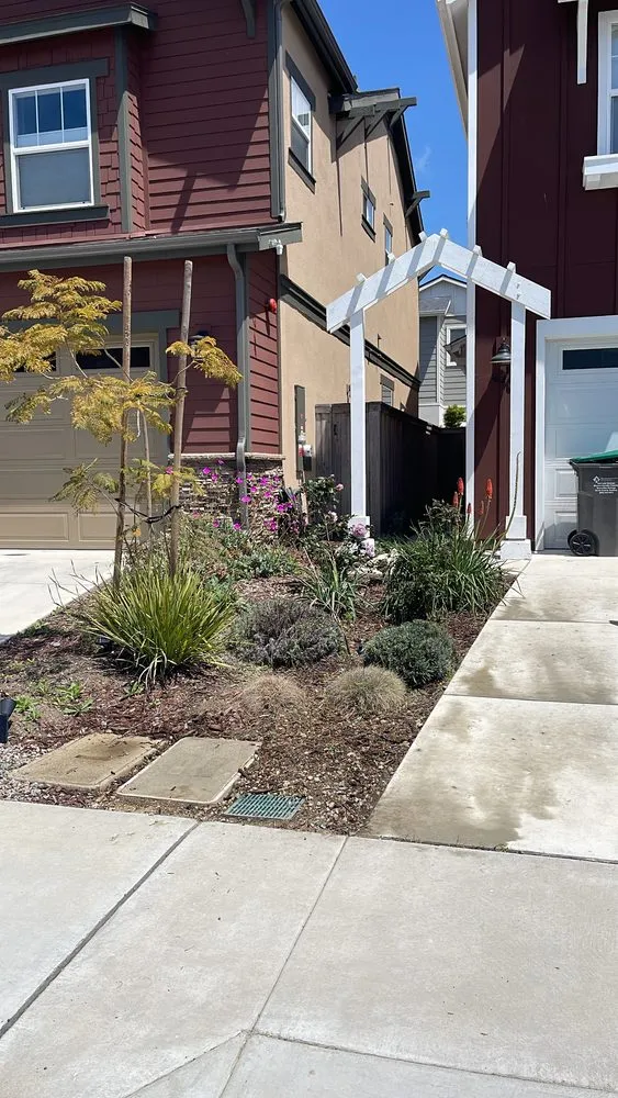 Expert garden landscaping in San Luis Obispo, CA - Forest Landscaping
