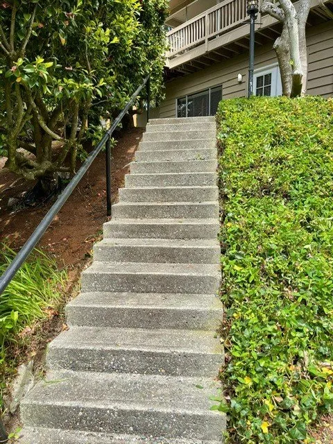 Top-rated residential landscaping in Lake Stevens, WA - Forest Lawn & Construction Care