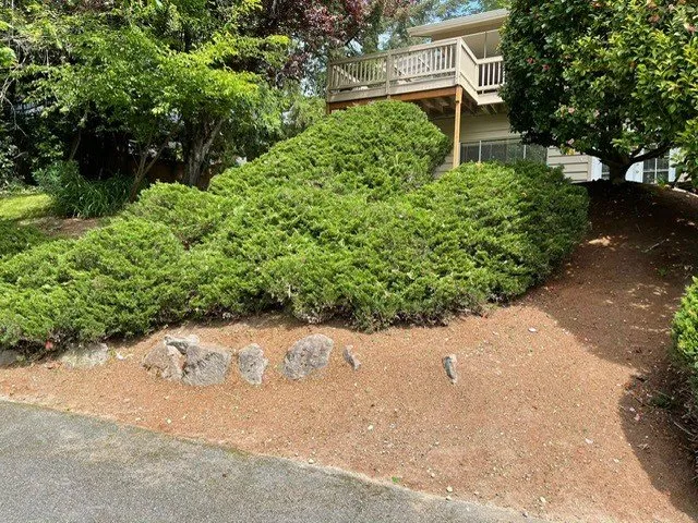 Reliable yard cleanup service experts serving Lake Stevens, WA - Forest Lawn & Construction Care