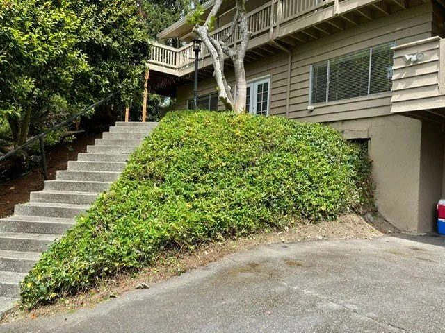 Top-rated yard cleanup service for homes in Lake Stevens, WA by Forest Lawn & Construction Care