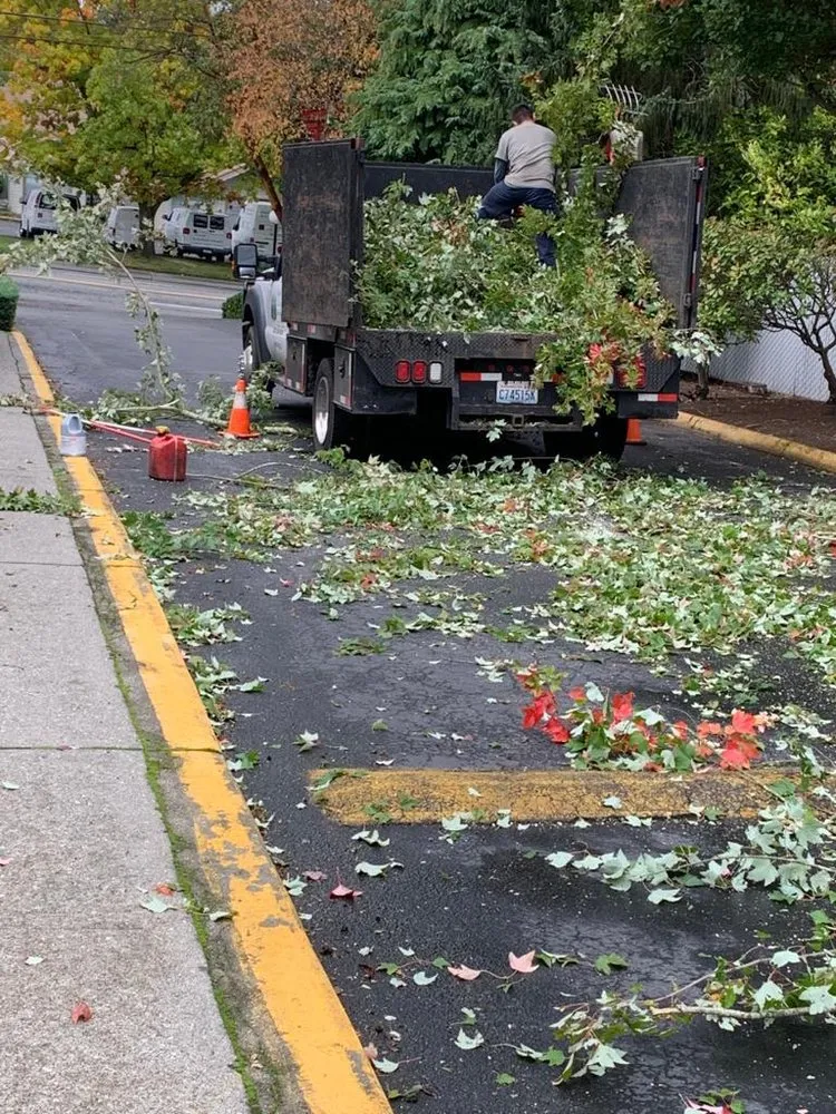 Custom landscaping services experts serving Lake Stevens, WA - Forest Lawn & Construction Care