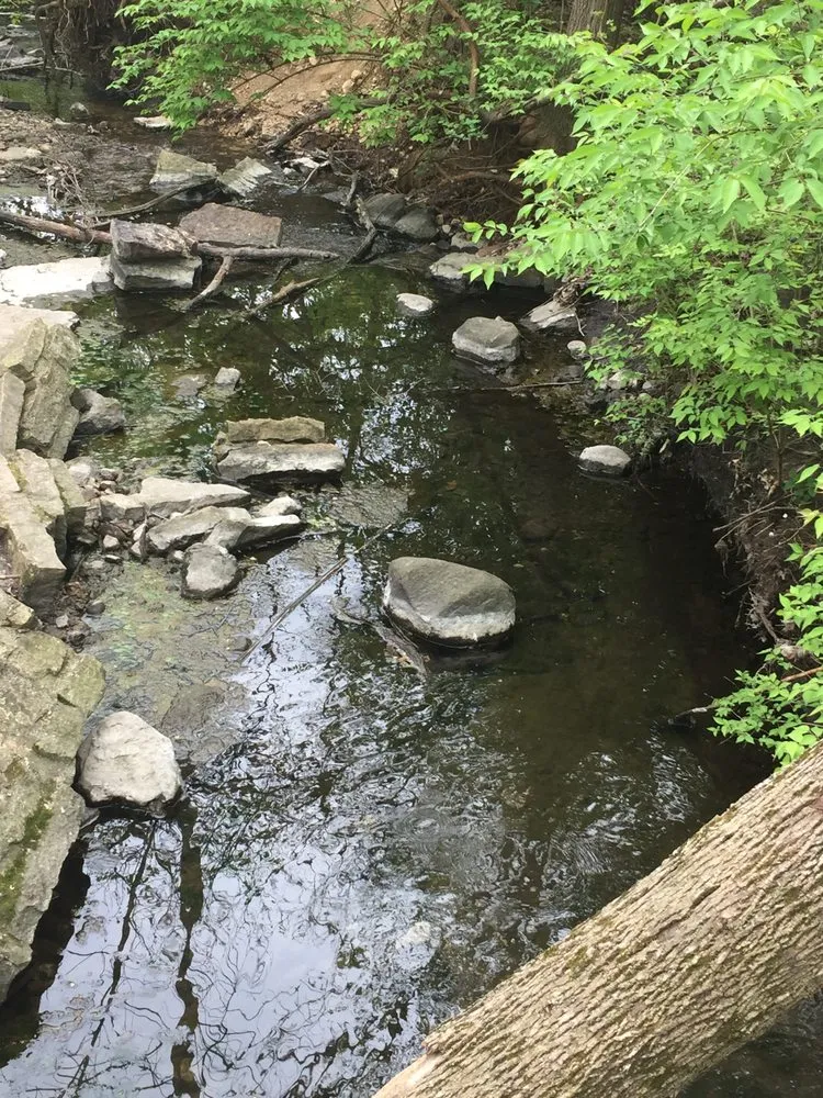 Reliable landscaping services experts serving Frankfort, IL - Forest Lawn Maintenance and Snow Removal