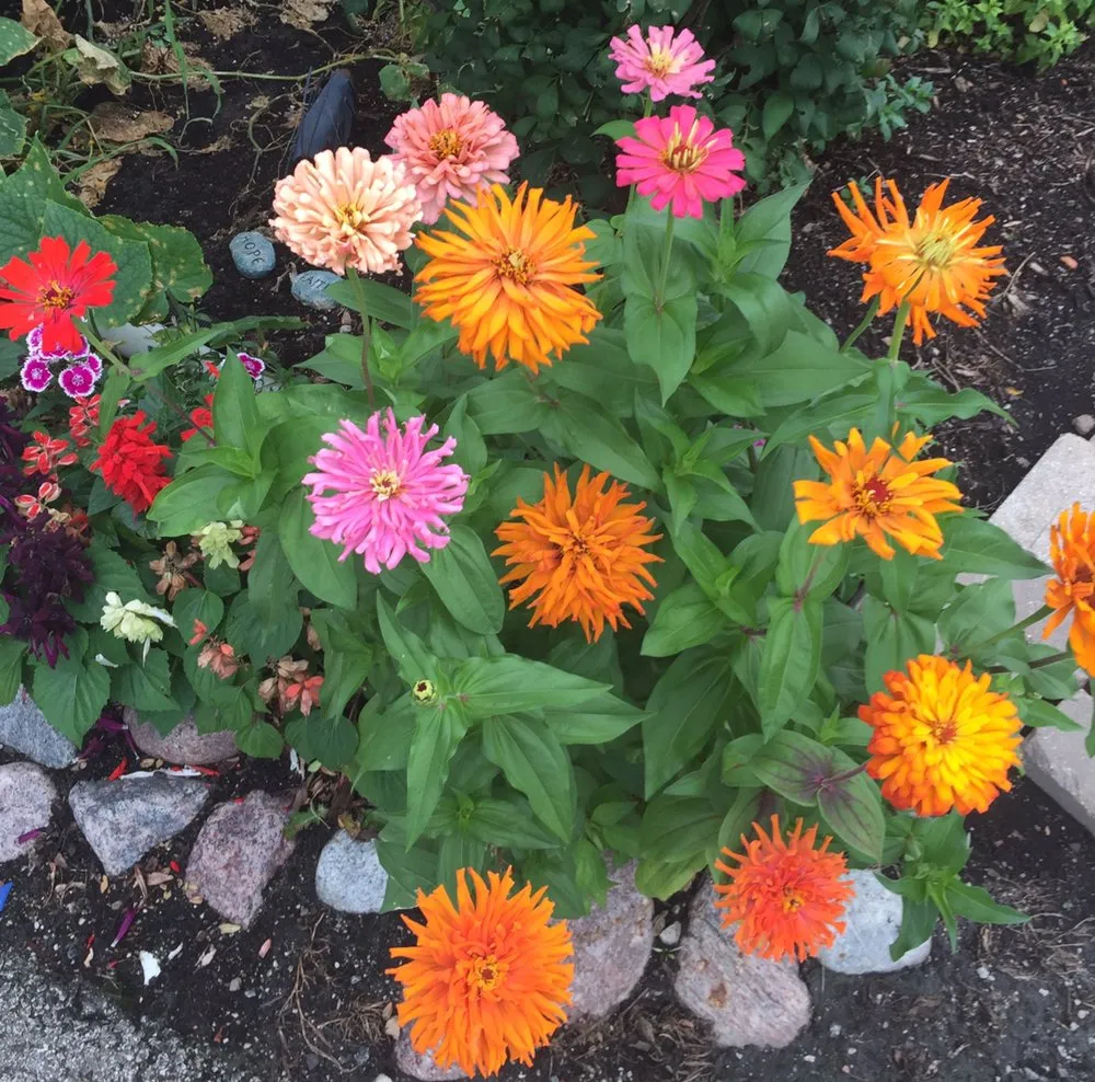 Local garden landscaping in Frankfort, IL by Forest Lawn Maintenance and Snow Removal