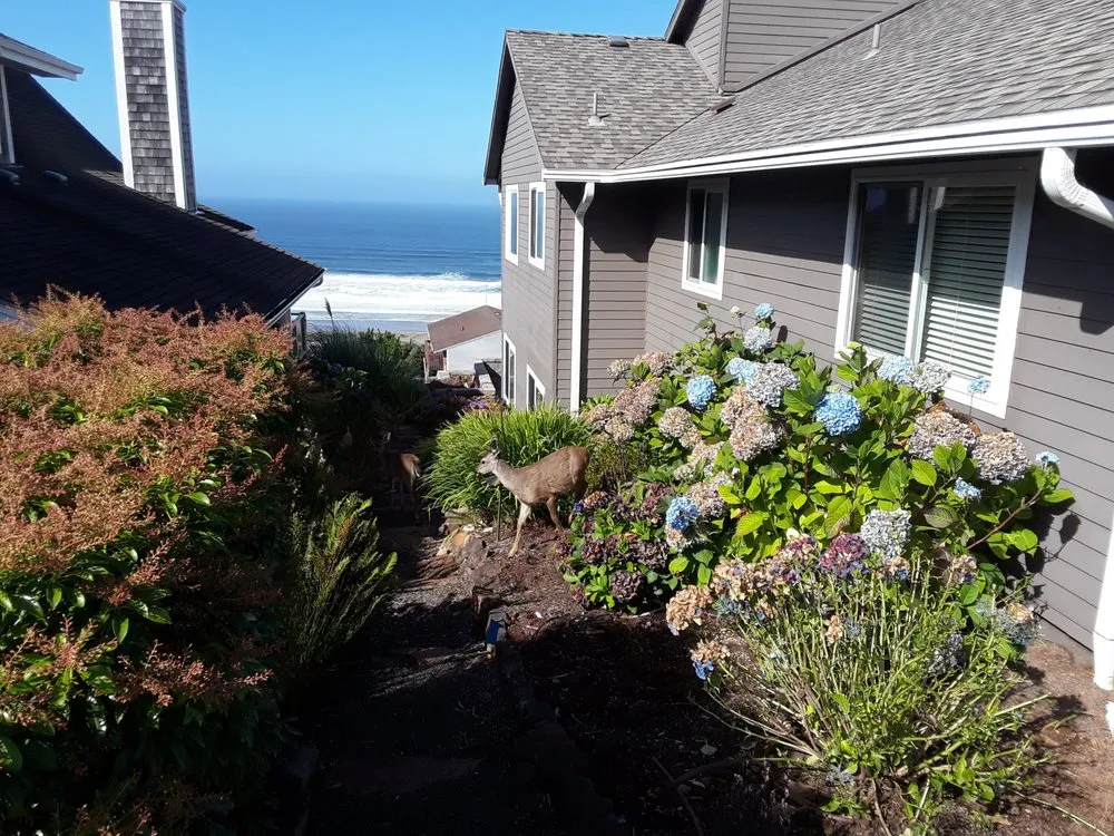 Custom yard maintenance in Nehalem, OR by Forest Ocean Property Care