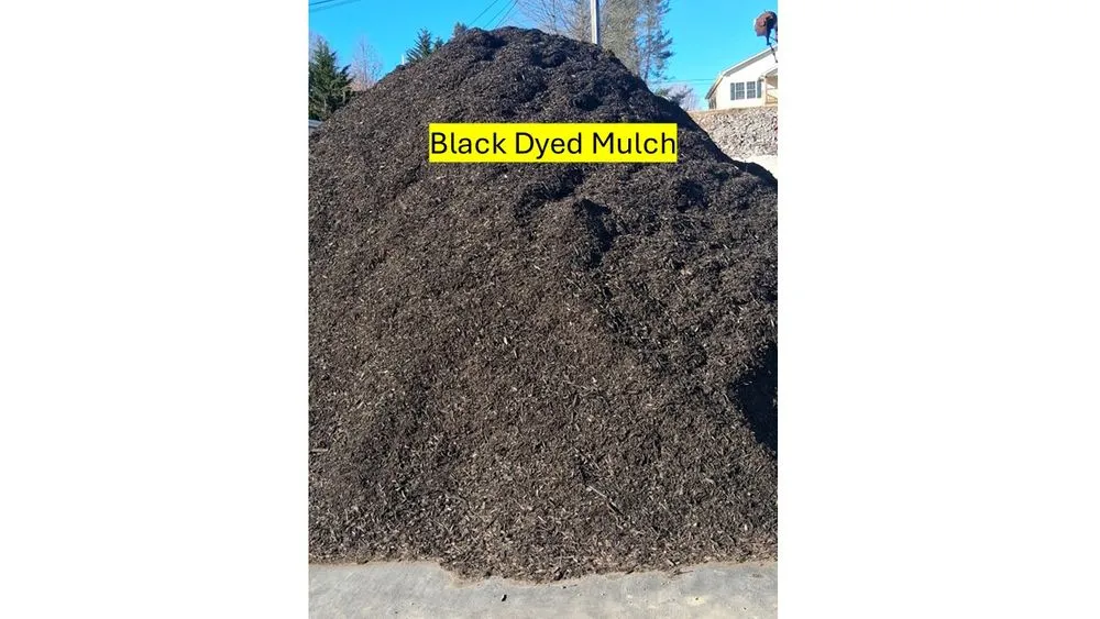 Reliable residential landscaping experts serving Christiansburg, VA - Forest Park Landcare