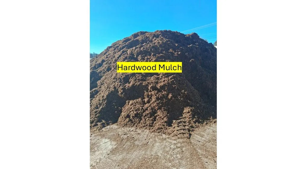 Reliable landscape design for year-round maintenance in Christiansburg, VA by Forest Park Landcare