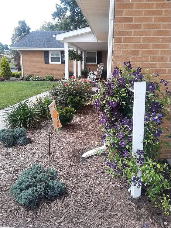 Professional landscaping services with custom design across Christiansburg, VA - Forest Park Landcare