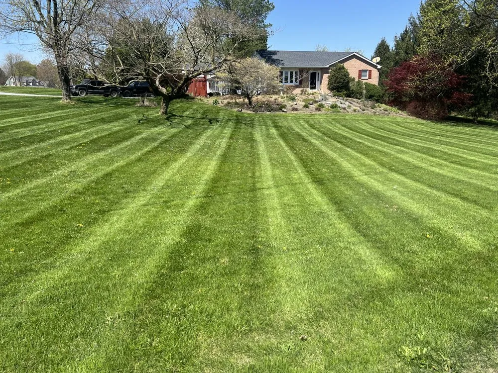 Trusted lawn mowing service experts serving Kutztown, PA - Forest Ridge Property Services