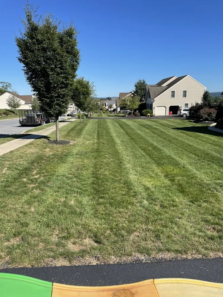 Trusted lawn mowing service in Kutztown, PA - Forest Ridge Property Services