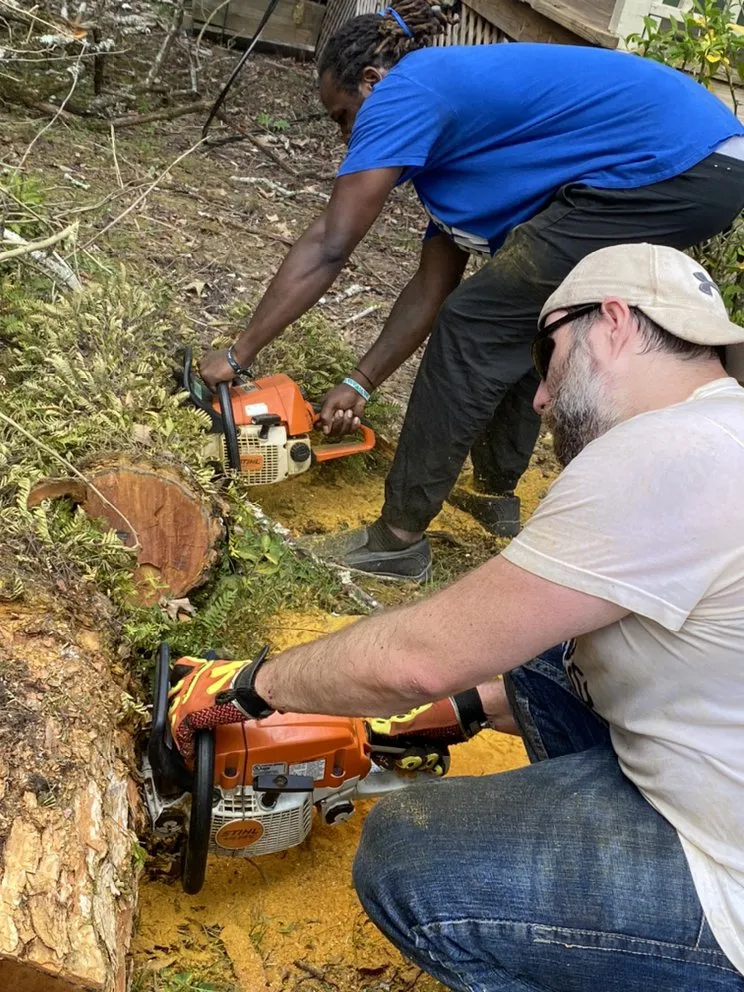 Trusted residential landscaping for homes across West Monroe, LA - Forest Tree & Landscape Service
