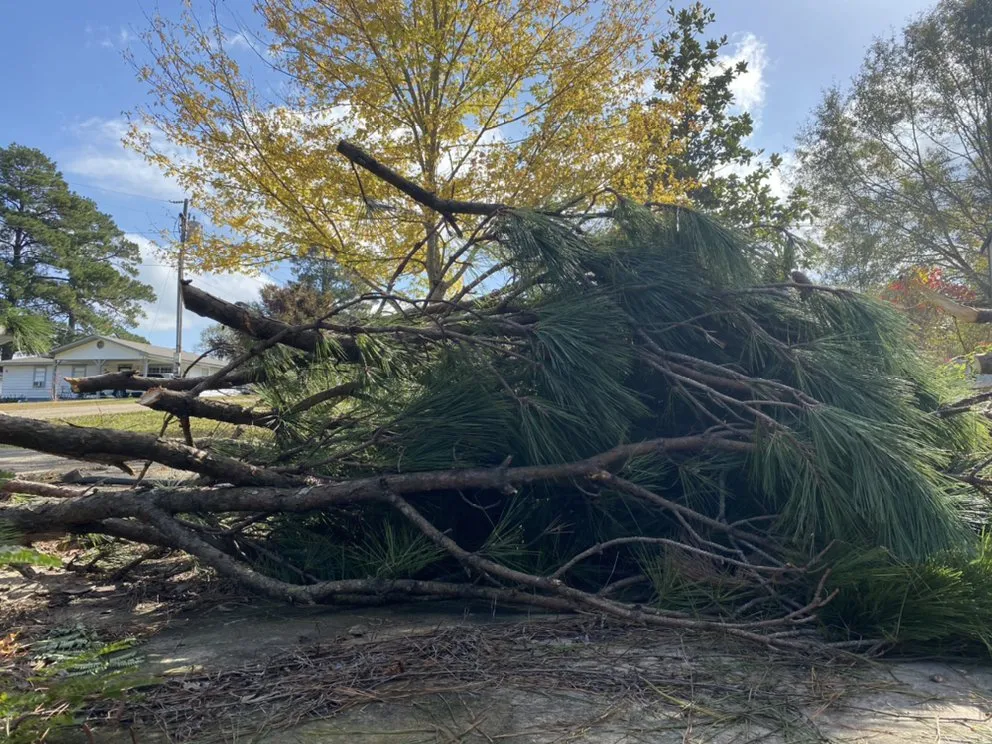 Professional garden landscaping for residential properties in West Monroe, LA by Forest Tree & Landscape Service